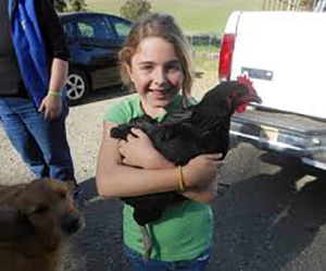 Holding a chicken